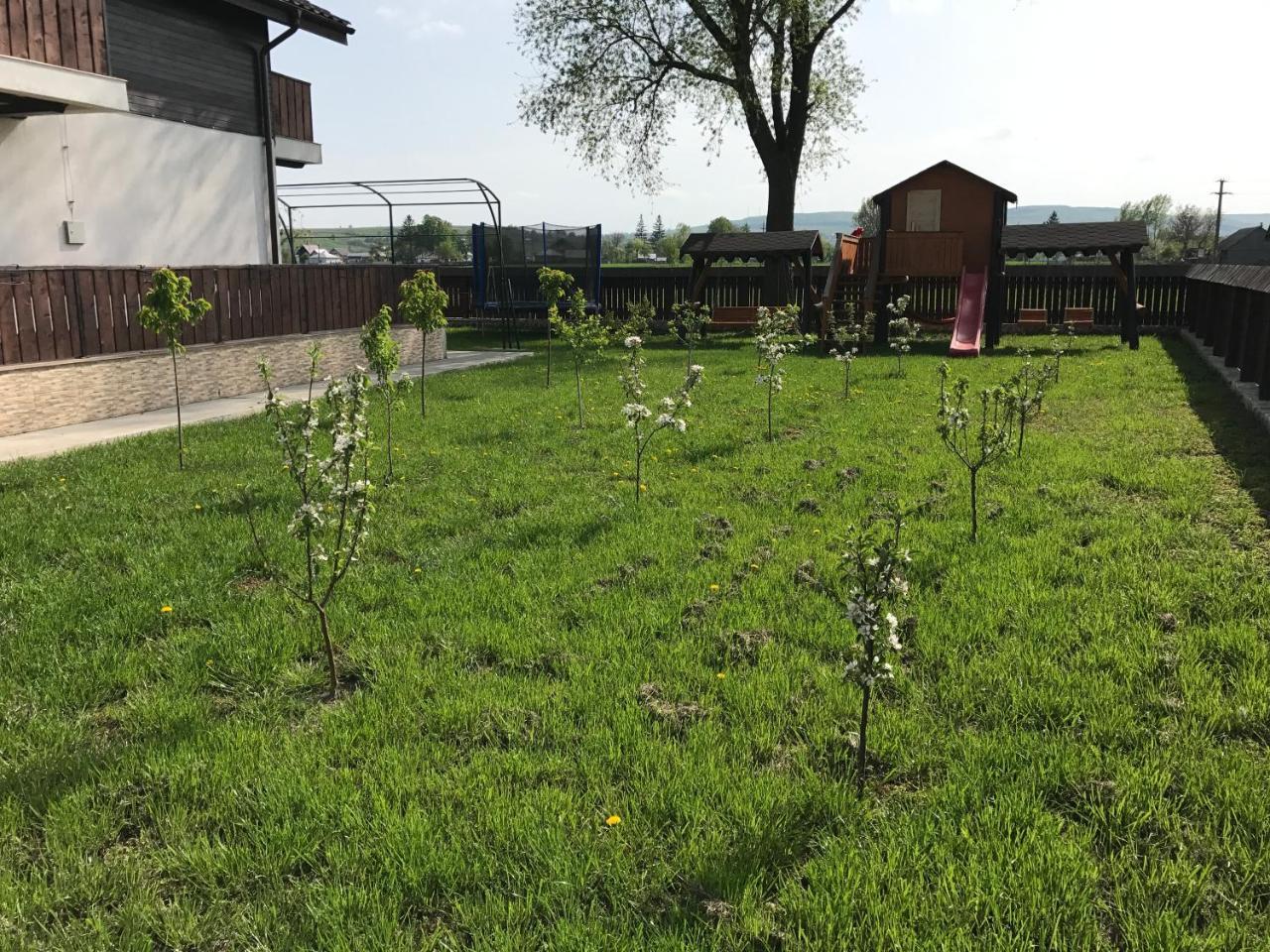 Pensiunea Dany - Crys Zvoristea Exteriör bild